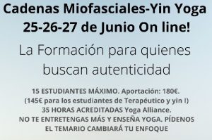 taller intensivo de yoga online