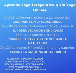 curso intensivo en yogaterapia